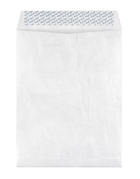 ENVELOPES, EASYCLOSE, CATALOG, 10"L X 12"H, WHITE, 100/CT MAIN