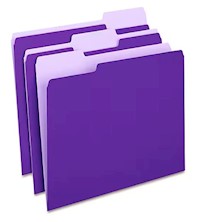 FILE FOLDERS, 1/3 CUT TAB, LETTER SIZE, PURPLE, 100/CT MAIN