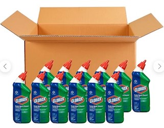 TOILET BOWL CLEANER WITH BLEACH, FRESH SCENT, 24 OZ., 12 BOTTLES/CASE LARGE