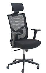 OFFICE TASK CHAIR, LA-Z-BOY MESH BACK, MOLDED FOAM, BLACK LARGE