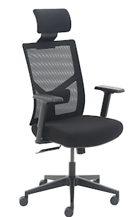 OFFICE TASK CHAIR, LA-Z-BOY MESH BACK, MOLDED FOAM, BLACK MAIN