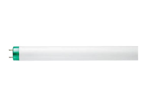 TUBE BULB, 32 WATTS DAYLIGHT FLUORESCENT, PHILIPS, 30/CT (479642) LARGE