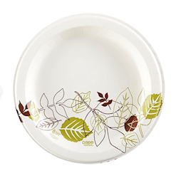 PLATES, PAPER, HEAVY-WEIGHT, DIXIE ULTRA PATHWAYS, 10", 500/CT LARGE