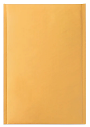 ENVELOPE, BUBBLE MAILER, SELF-SEALING, 6.75" X 9", #0, 25/CT LARGE