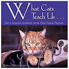 BOOK, HARDCOVER, WHAT CATS TEACH US, 112 PAGES THUMBNAIL
