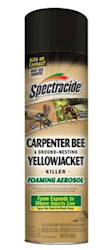 CARPENTER BEE AND GROUND-NESTING YELLOW JACKET KILLER, FOAM, AEROSOL, SPECTRACIDE, 16 OZ., 1/EA LARGE