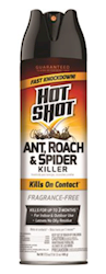 ANT / ROACH / SPIDER KILLER, UNSCENTED, AEROSOL, HOT SHOT, 17.5 OZ., 1/EA LARGE
