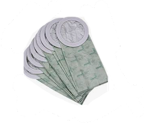 VACUUM BAG, 10 QT ULTIMATE HEPA PAPER, FOR MOSQUITO BACKPACKS LARGE