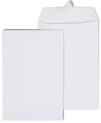 ENVELOPES, CATALOG, STAPLES EASYCLOSE, 6" X 9", WHITE, 100/CT MAIN