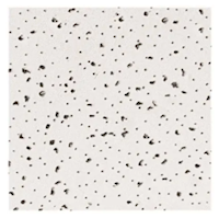 CEILING TILE, 2' X 4', WHITE, USG CEILINGS, 8/CT MAIN