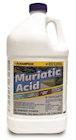 MURIATIC ACID, CHAMPION, 1 GALLON, 2/CT THUMBNAIL