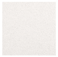 CEILING TILES, ARMSTRONG CEILINGS, 2 FT X 2 FT, 48 SQ FT, 12/CT MAIN