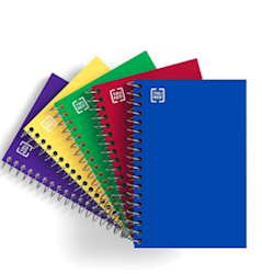 MEMO BOOKS, 4" X 6", COLLEGE RULED, 50 SHEETS, ASSORTED COLORS, 5/PK LARGE