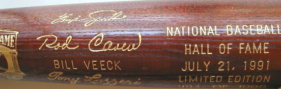 1991 Hall of Fame Induction Bat MAIN