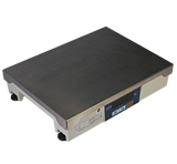 CAS PD-2 Scale MAIN
