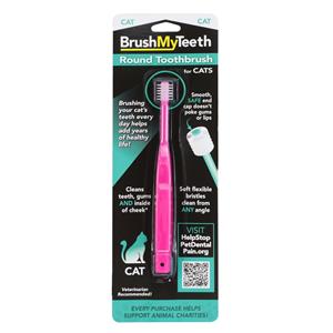BrushMyTeeth Cat Round Toothbrush THUMBNAIL