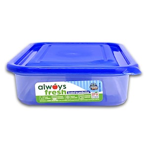 Compac Home Rectangular Bowl (14 oz) Blue LARGE