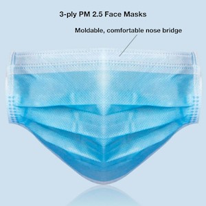 3-Ply PM2.5 Face Masks 50pk LARGE
