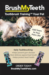 BrushMyTeeth Bi-Fold LARGE
