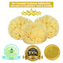 Natural Bath Sponge 4inch Wool Sea Sponge (polybox) SWATCH
