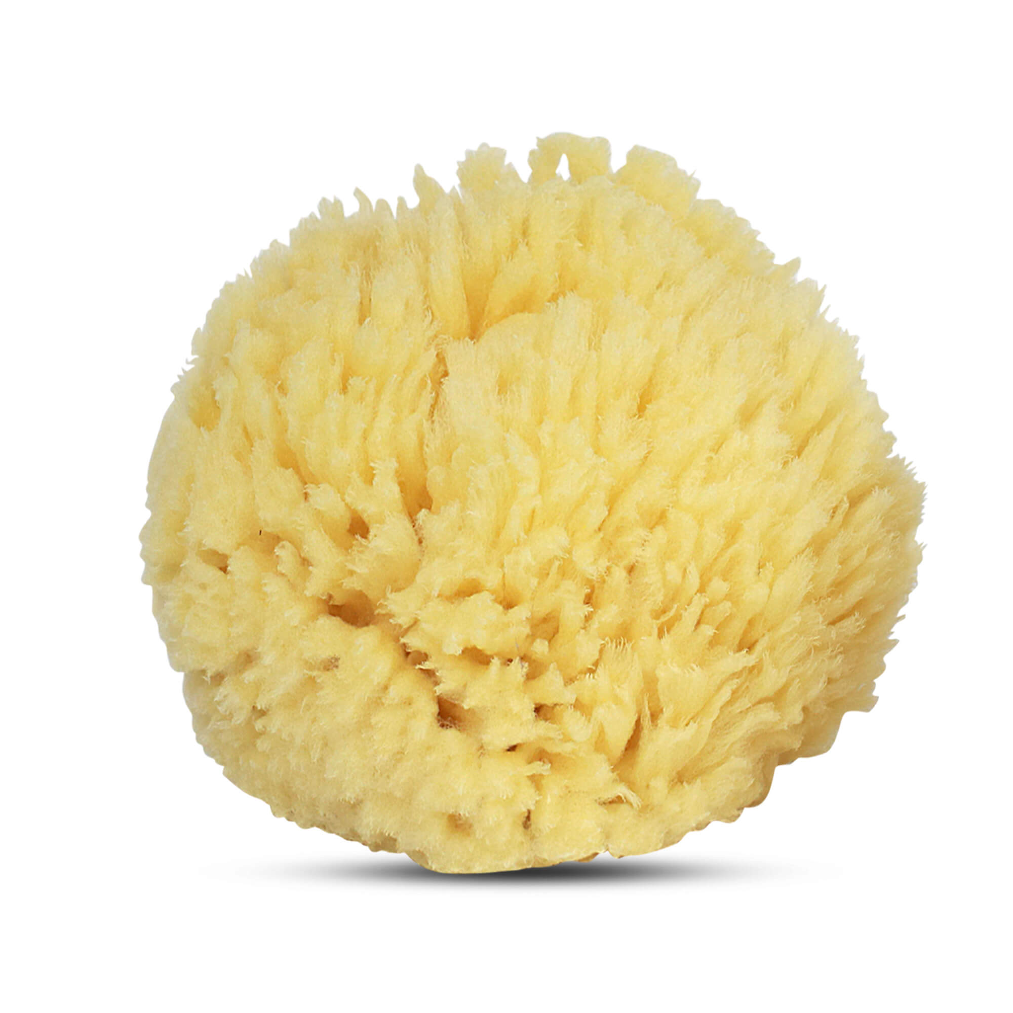 Natural Bath Sponge