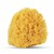 Natural Yellow Sea Sponge - Bulk Product without Packaging SWATCH
