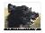 BrushMyTeeth Big Dog Round Toothbrush SWATCH