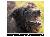 BrushMyTeeth Big Dog Round Toothbrush SWATCH