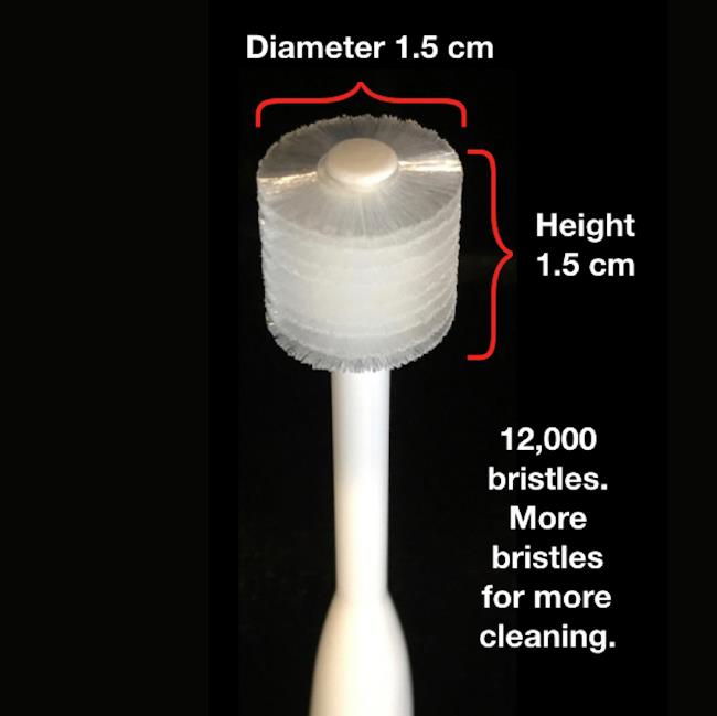 BrushMyTeeth Round Toothbrush for Big Dogs