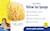 Natural Yellow Sea Sponge - Features & Benefits SWATCH