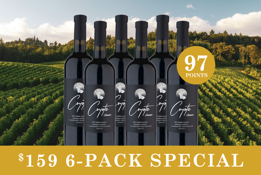 2023 Block 3 Cabernet Sauvignon 6-Pack LARGE