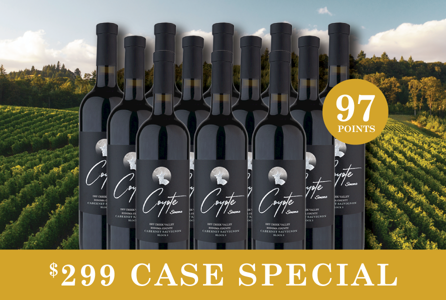 2023 Block 3 Cabernet Sauvignon Case LARGE