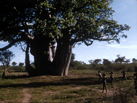 Baobab Play THUMBNAIL