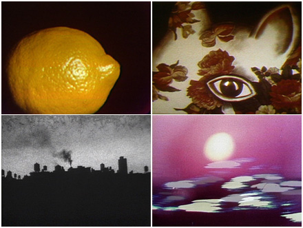Screening Room Collection: Experimental Series MAIN
