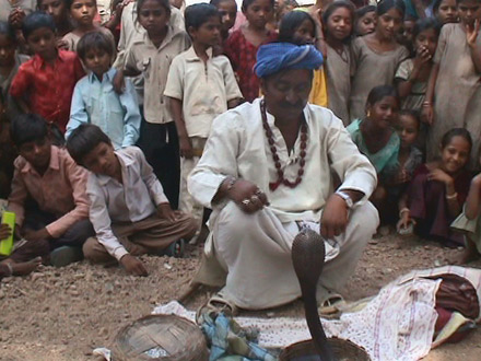 The Snake Charmer THUMBNAIL