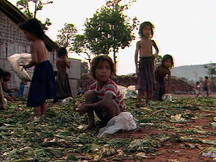 Waiting for Cambodia THUMBNAIL