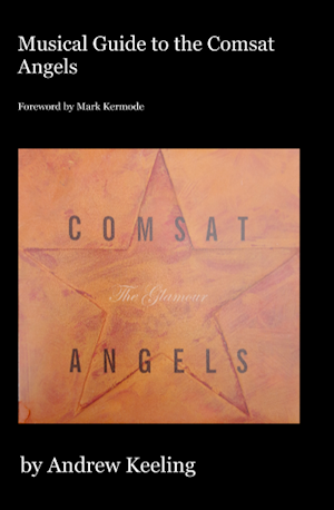 Andrew Keeling - Musical Guide To Comsat Angels THUMBNAIL