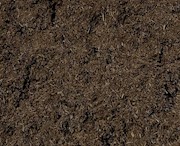 Cocoa Mulch THUMBNAIL