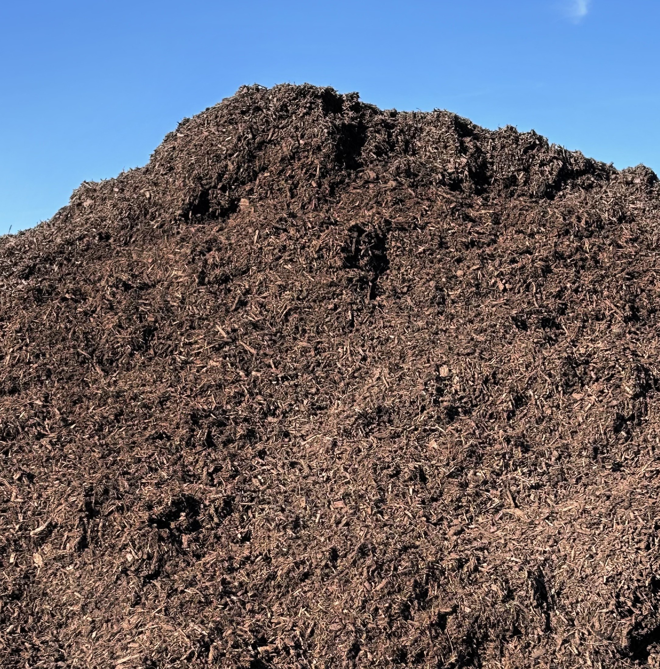 Cocoa Mulch LARGE