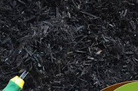 Black Mulch MAIN