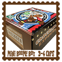 MINI BOOM! BOX ($49.85-$77.80)