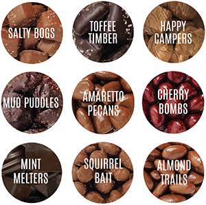 NORTHERN LIGHTS MAIN