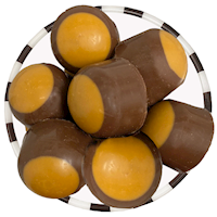UNCLE BUCKEYES MAIN