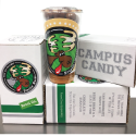 CAMPUS CANDY SWATCH