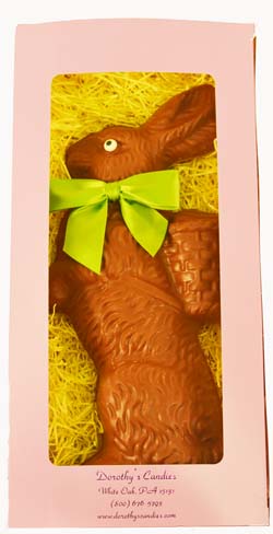 Chocolate Bunny Mould in Spring Box THUMBNAIL