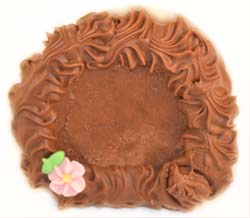 Yummie Chocolate Fudge in our Swiss Chocolate MAIN