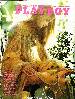 Playboy #7204 THUMBNAIL
