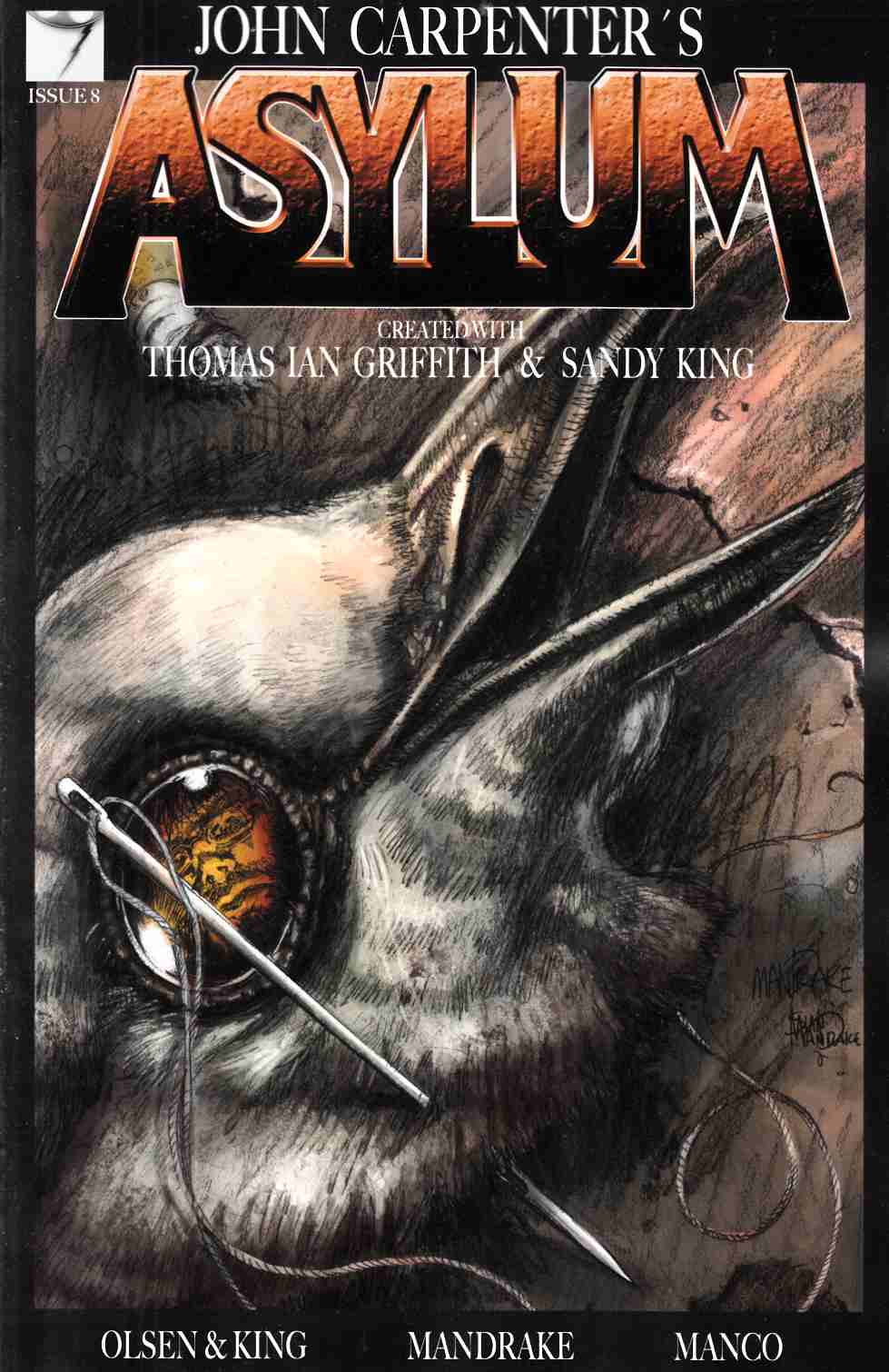 John Carpenters Asylum #8 [Storm King Comic] THUMBNAIL