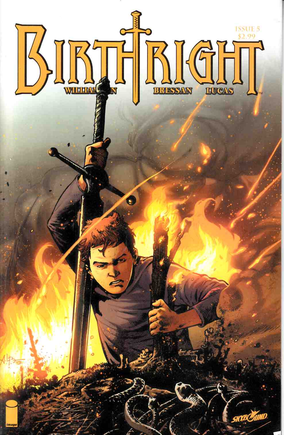Birthright #5 Very Fine (8.0) [Image Comic] LARGE