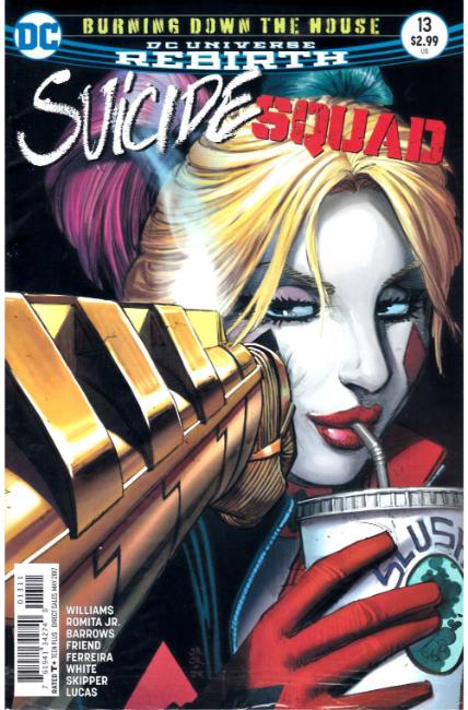 Suicide Squad #13 [DC Comic] LARGE